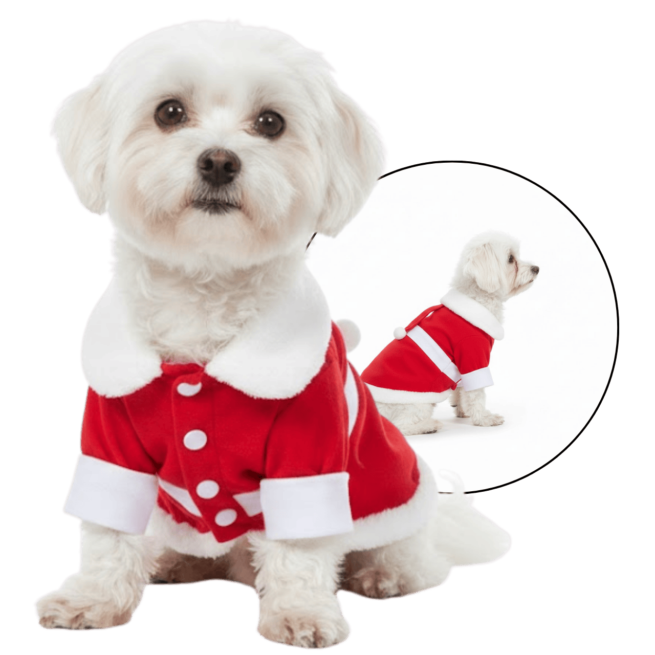 MOLDE DE COSTURA TRAJE NAVIDEÑO PARA CACHORROS