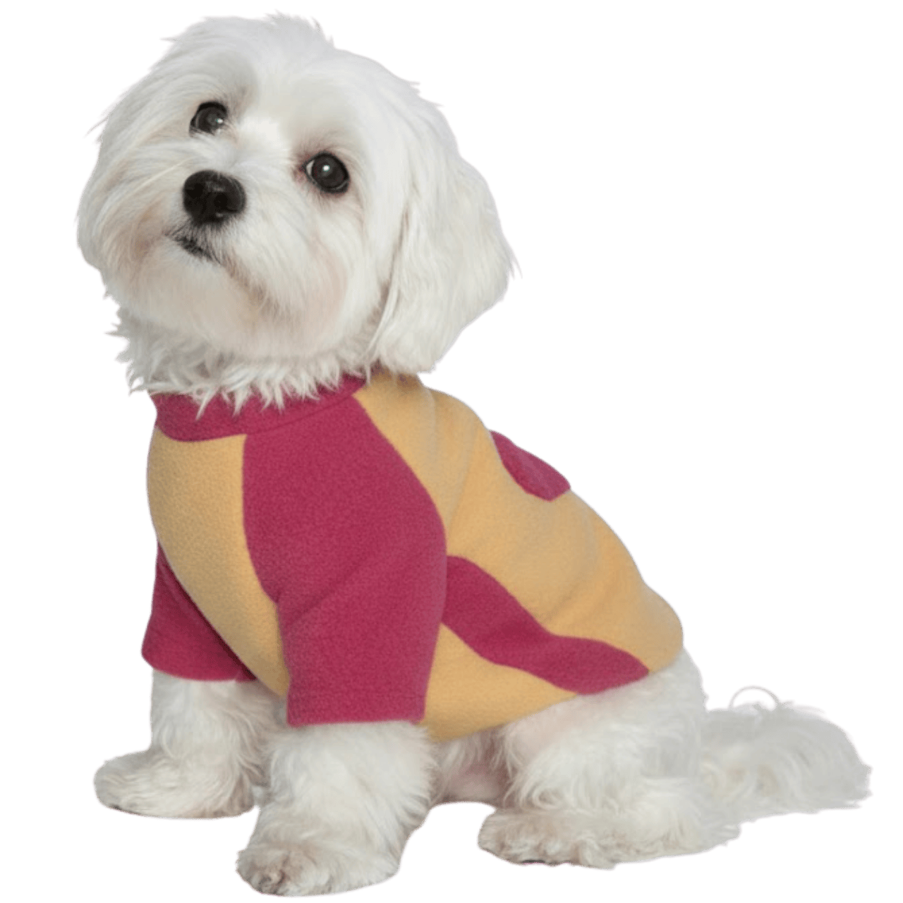 MOLDE DE COSTURA CAMISETA CON MANGAS RAGLAN CACHORRO