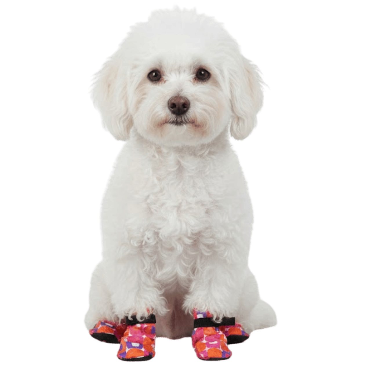 MOLDE DE COSTURA BOTA CACHORRO