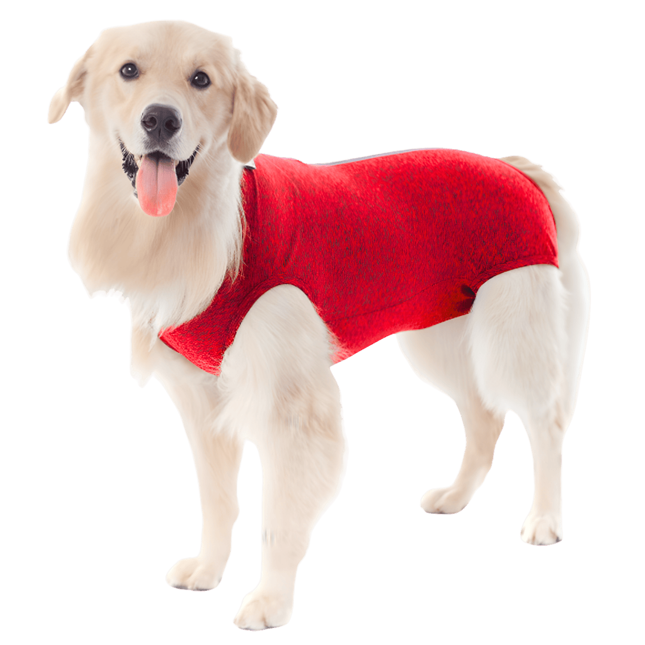 MOLDE DE COSTURA ROPA CIRURGIA