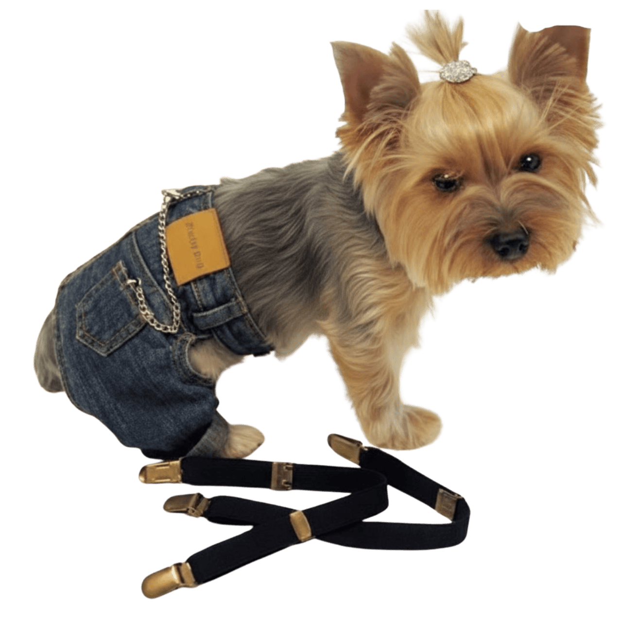 MOLDE DE COSTURA JEAN PANTALÓN DE CACHORRO