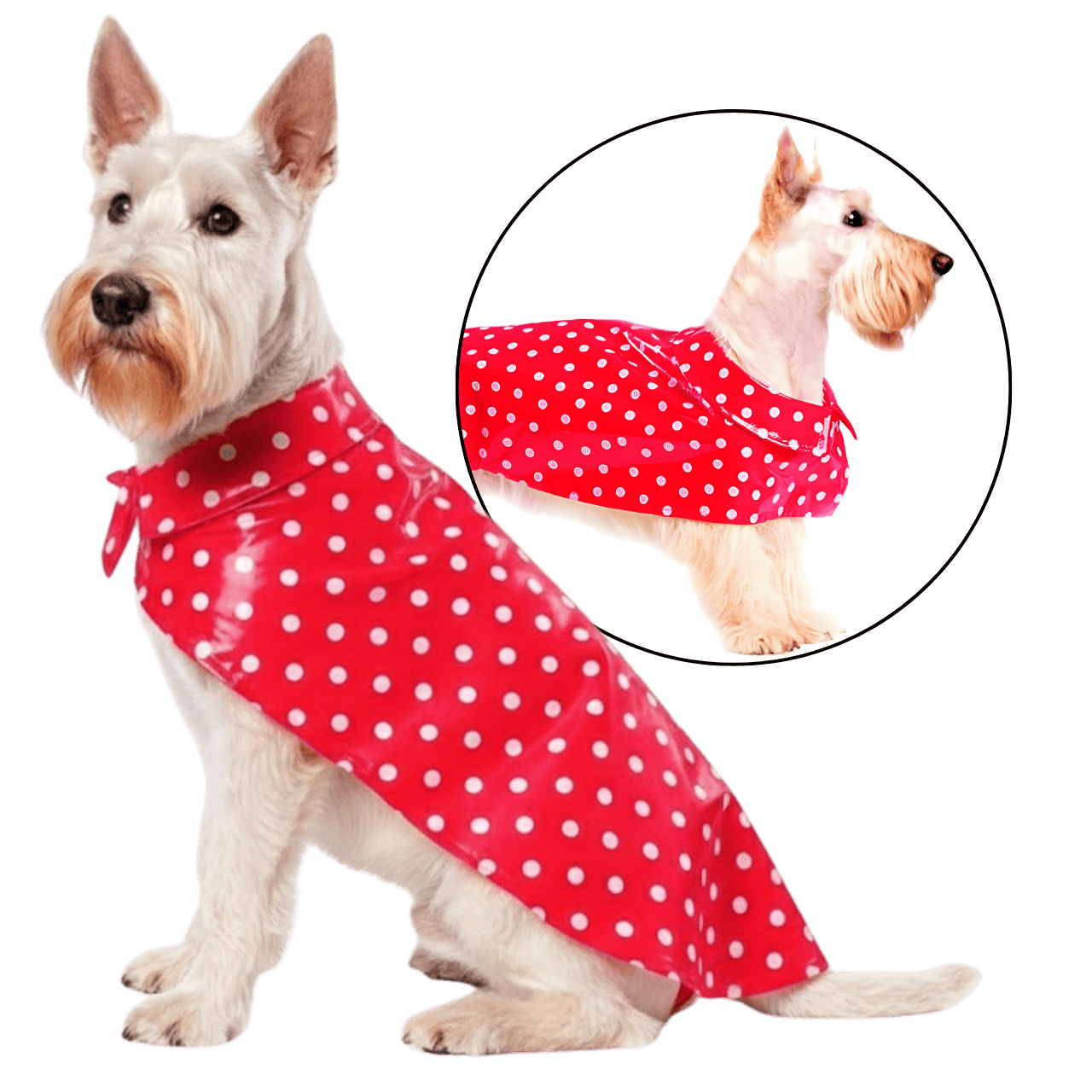 MOLDE DE COSTURA ABRIGO IMPERMEABLE