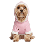 MOLDE DE COSTURA SUETER HOODIE CON CAPUCHA CACHORRO
