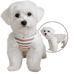 MOLDE DE COSTURA CAMISETA CACHORRO