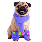 MOLDE DE COSTURA BUFANDA DE MASCOTAS