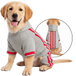 MOLDE DE COSTURA BUZO DEPORTIVO