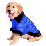 MOLDE DE COSTURA ABRIGO ORIENTAL