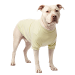 MOLDE FRANELA CAMISA ESTANDAR PERO GATO PARA SUBLIMAR