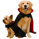 MOLDE DE COSTURA CAPA DRÁCULA DISFRÁZ DE PERRO