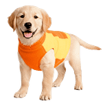 MOLDE DE COSTURA ABRIGO POLAR MASCOTAS