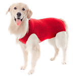 MOLDE DE COSTURA ROPA CIRURGIA