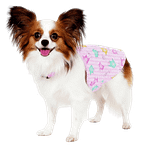 MOLDE DE COSTURA VESTIDITO EXPRESS MASCOTA