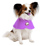 MOLDE DE COSTURA CAPITA FRANCESA PARA PERROS