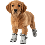 MOLDE DE COSTURA BOTITAS PARA PERROS