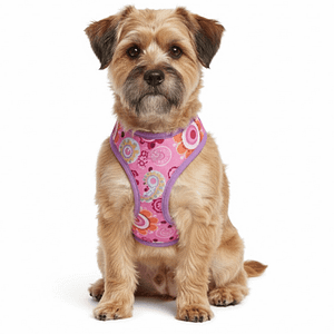 MOLDE DE COSTURA PECHERA PERRO