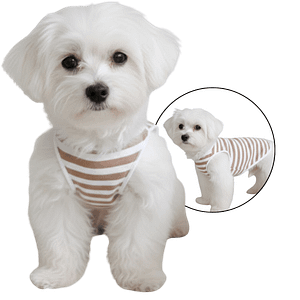 MOLDE DE COSTURA CAMISETA CACHORRO