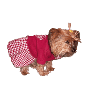 MOLDE DE COSTURA VESTIDO CACHORRO