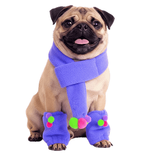 MOLDE DE COSTURA BUFANDA DE MASCOTAS