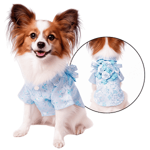 MOLDE DE COSTURA ABRIGO CON APLIQUES DE ROSAS MASCOTAS