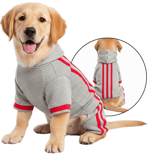 MOLDE DE COSTURA BUZO DEPORTIVO