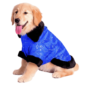 MOLDE DE COSTURA ABRIGO ORIENTAL