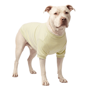 MOLDE FRANELA CAMISA ESTANDAR PERO GATO PARA SUBLIMAR