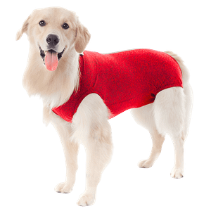 MOLDE DE COSTURA ROPA CIRURGIA