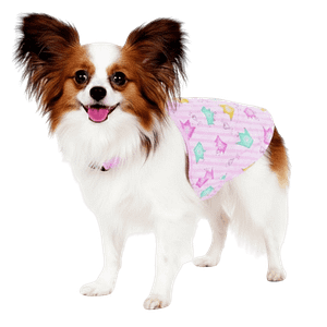 MOLDE DE COSTURA VESTIDITO EXPRESS MASCOTA