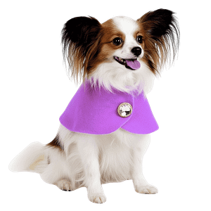 MOLDE DE COSTURA CAPITA FRANCESA PARA PERROS