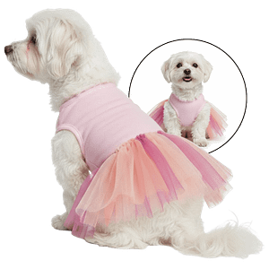 MOLDE DE COSTURA VESTIDO TUTU PARA PERROS