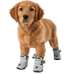 MOLDE DE COSTURA BOTITAS PARA PERROS