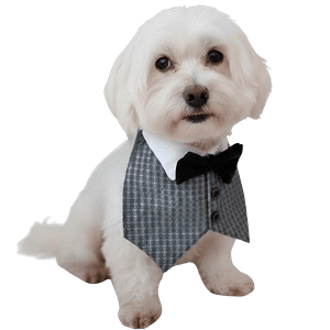 MOLDE DE COSTURA CHALECO SMOKING PARA PERROS