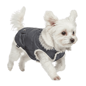 MOLDE DE COSTURA CHAQUETA PEQUEÑA PARA PERROS